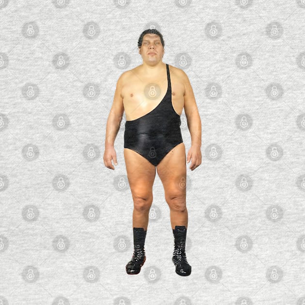 Andre The Giant by DankFutura